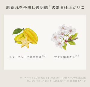 Sunscreen N organic Tone Up UV Protector (30g) - YOYO JAPAN