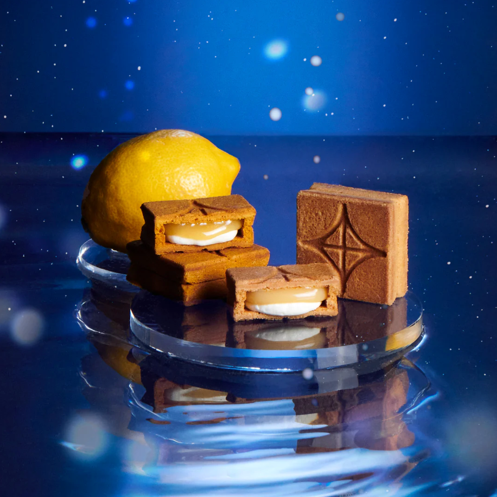 Butter Sandwich 2-Type Gift Set (Lemon) 10 pieces