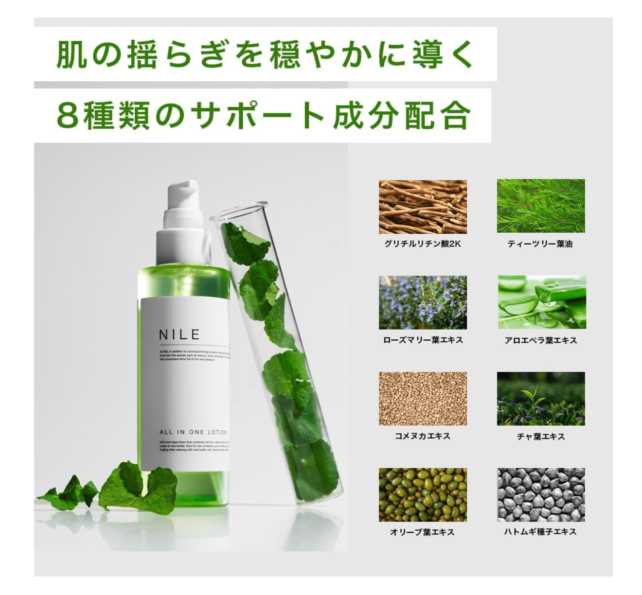 NILE All in One Skin Care Lotion for Men After Shave Lotion (California Scent)