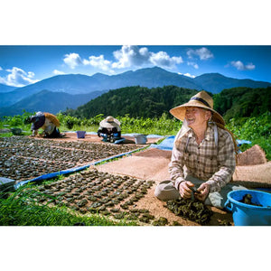 Otoyo Town Goishi Tea Cooperative Goishicha Authentic 50g - Healthy From Japan Food and Beverages