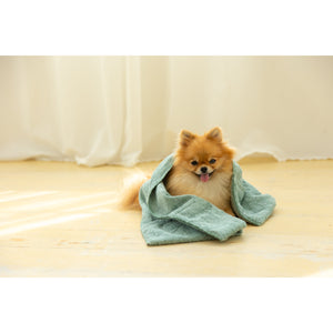 Jogan Pet Towel Super Absorbent Bath Towel in green, perfect for after-bath pet care