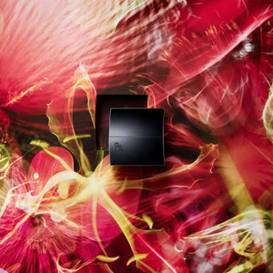 Pola Cream N With Abundant Moisture & Three - Dimensional Glow 30g - Japanese Facial Skincare