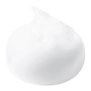 Sana Smooth Honpo Soy Milk WR Cleansing Face Wash N 150g - Japanese Moisturizing Skincare