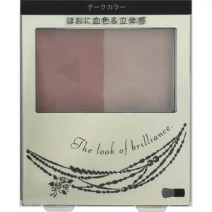 Shiseido Integrate Forming Cheeks RD310 3.5g - Powder Type Cheek Blush Makeup Products Skincare