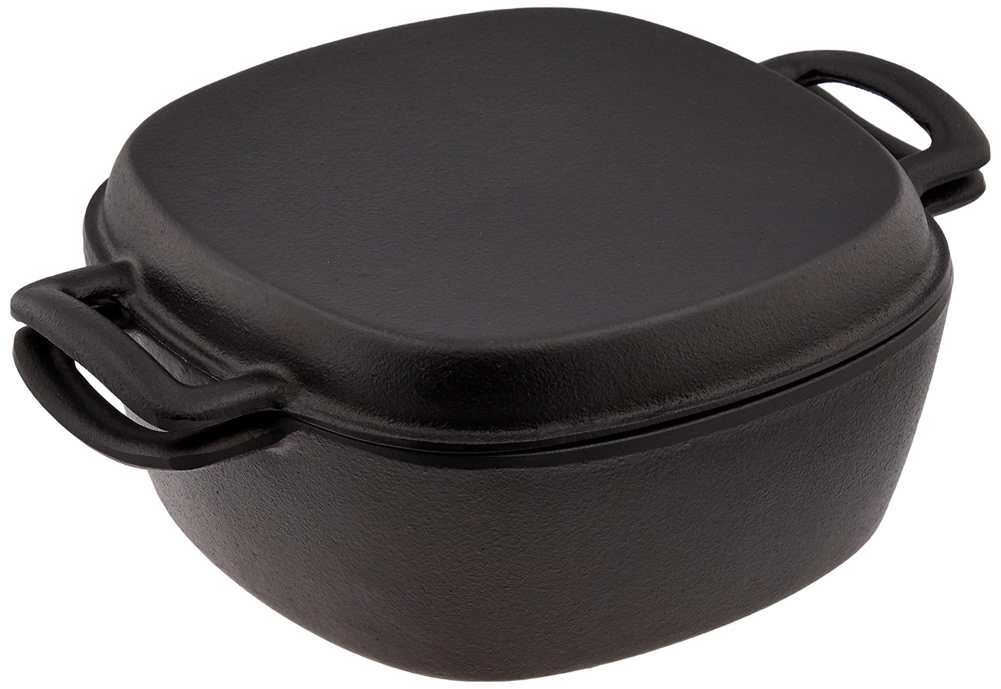 Southern Iron Craft Japanese Nambu Ironware Ih Compatible Double - Handed All - Purpose Pot Ic - 047