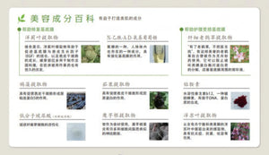 Sptm Beauty Cosmetics Septum Approach X Bm Serum 120ml - Japanese Lotion Skincare