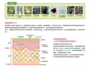 Sptm Beauty Cosmetics Septum Approach X Bm Serum 120ml - Japanese Lotion Skincare