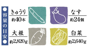 Squirrel 11L Round White Pickles Container W/ Hood & Mini Recipe - Made In Japan