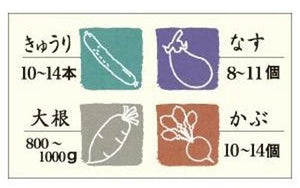 Squirrel 3L Round Green Instant Pickles Container Made In Japan With Recipe E - 30