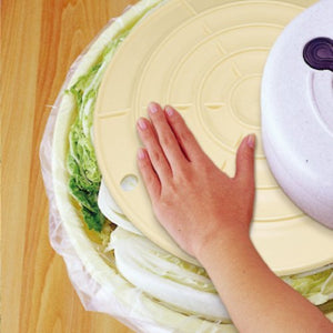 Squirrel Japan Pickle Barrel Push Lid Round Ivory Type 5