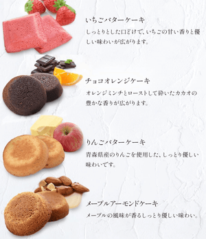 Boulmich Grand Luxe in 22-piece set, smooth glazed porcelain, perfect for serving Japanese cuisine