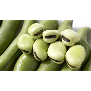 Takahashi Shoten Fava Bean Shoyu Sauce (Soy-Free Soy Sauce) 300ml - YOYO JAPAN