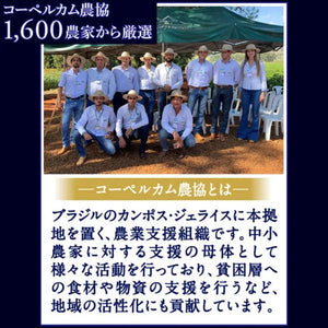 Ajinomoto Agf Slightly Luxurious Coffee Shop Regular Coffee Brazil's Finest Grade Beans 100 230g