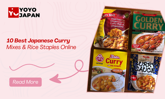 best-japanese-curry-mixes-rice