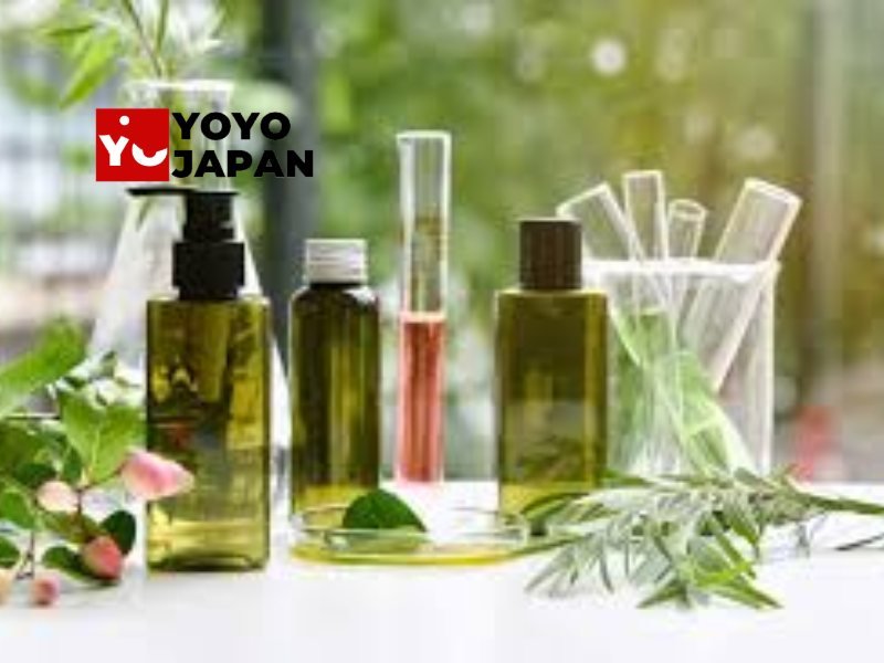 Buy YOYOJAPAN Store Vegan-Friendly Products: A Detail Guide - YOYO JAPAN