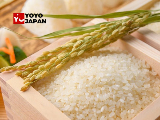 Best Japanese Rice Brands: The Best Japanese Rice Brands Available at YOYOJAPAN Store