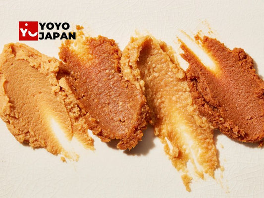 Japanese Miso Products: Explore a Variety of Japanese Miso Products at YOYOJAPAN Store