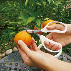 Ars Corporation High Carbon Cutlery Steel Scissors - YOYO JAPAN