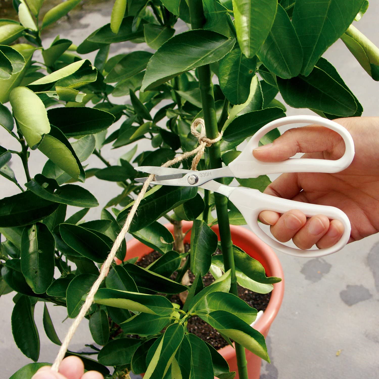 Ars Corporation High Carbon Cutlery Steel Scissors - YOYO JAPAN