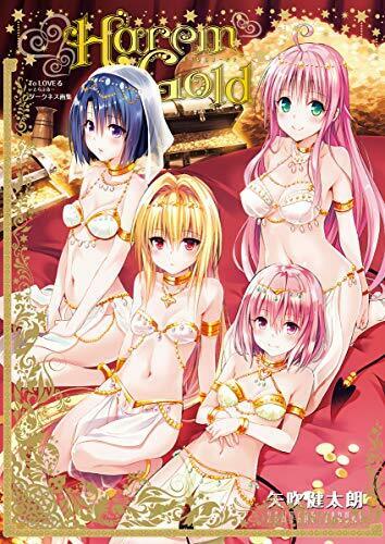 Collectors Edition To Love-ru Darkness Art Works Art Book