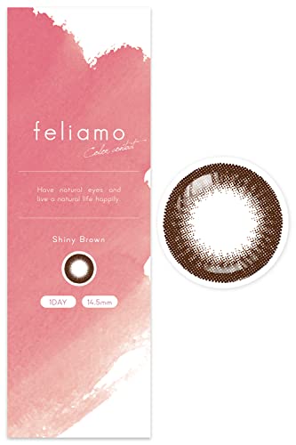 We Rejoice Feliamo Feriamo Uv 10 Sheet Mai Shiraishi Image Model Shiny Brown Japan