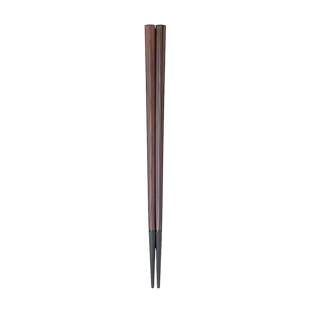 Fukui Craft Japan Pbt Resin Pentagonal Chopsticks 21Cm | Cheek - YOYO JAPAN
