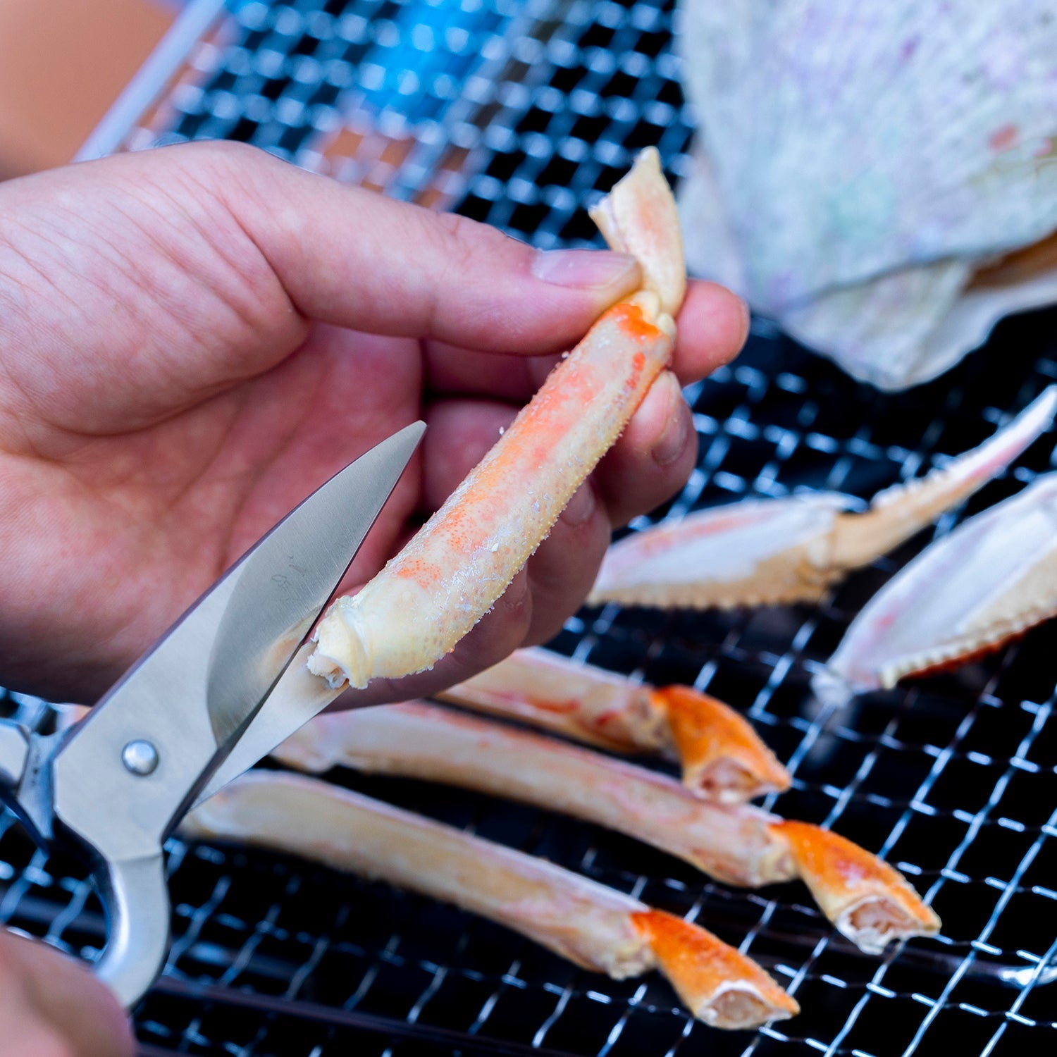 Hayashi Stainless Steel Kitchen Scissors - YOYO JAPAN