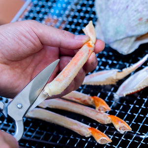 Hayashi Stainless Steel Kitchen Scissors - YOYO JAPAN