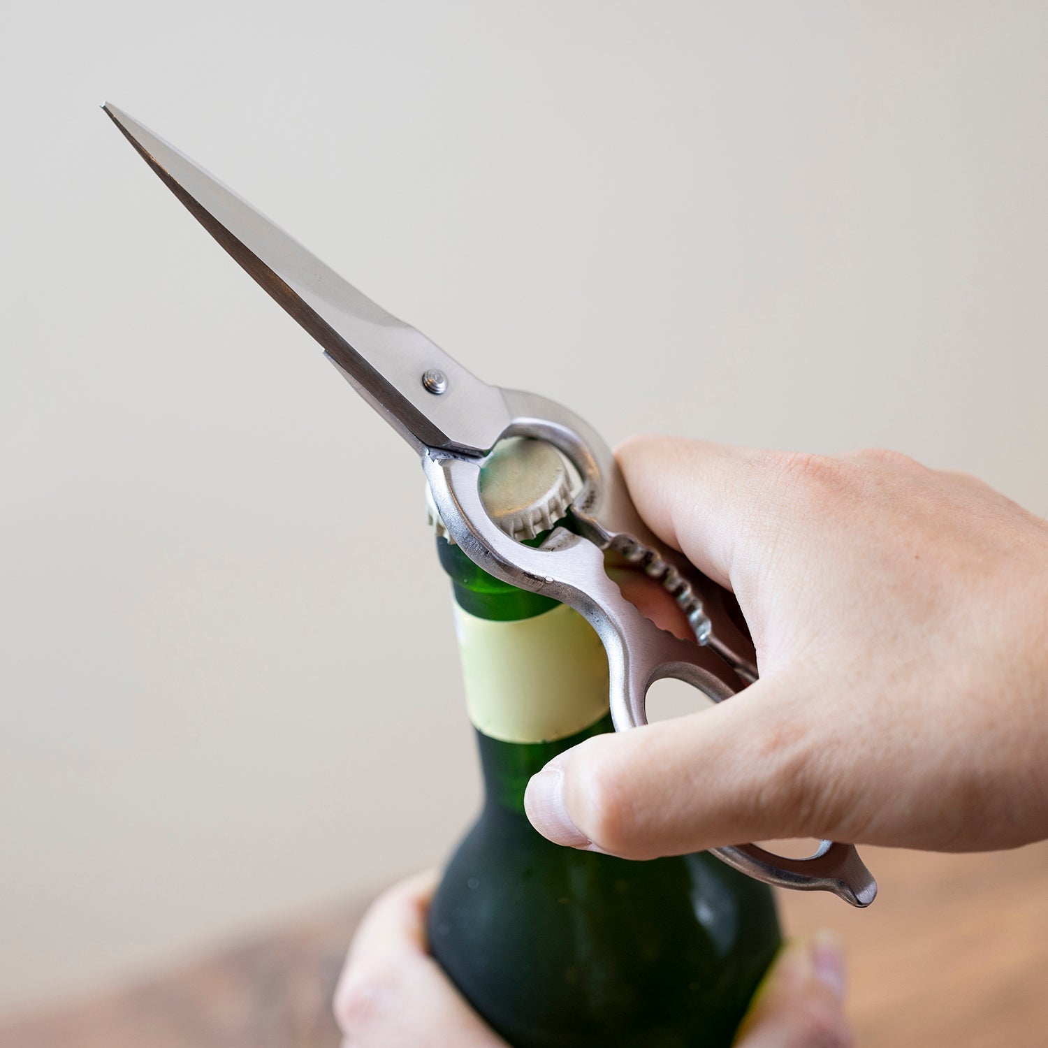 Hayashi Stainless Steel Kitchen Scissors - YOYO JAPAN