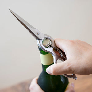 Hayashi Stainless Steel Kitchen Scissors - YOYO JAPAN