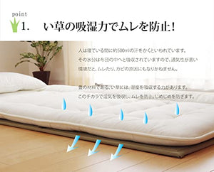 Ikehiko Corporation Japan Rush Mattress 100X210Cm Single 8311809 Green - YOYO JAPAN