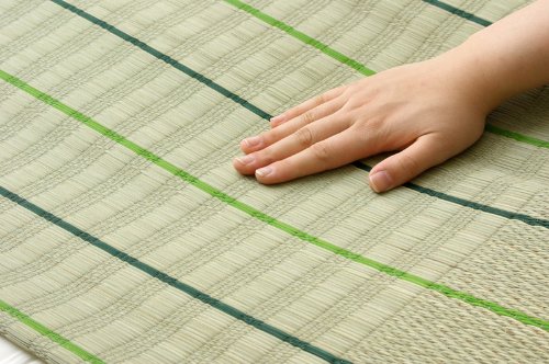 Ikehiko Corporation Hazuki Single Green Bed Pad 88X180Cm Made In Japan #7418959 - YOYO JAPAN