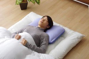 Ikehiko Pillow Washable Antibacterial Deodorizing 38X56Cm Japan #2917509 - YOYO JAPAN