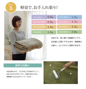 Ikehiko Japan Carpet Rug Oval Plain Peony 100X140Cm Green Washable Antibacterial Deodorant #9810909 - YOYO JAPAN