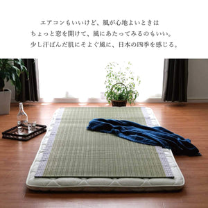 Ikehiko Corporation Gray Hiba Processing Rug Rush Sheets 88X180Cm Made In Japan #6508009 - YOYO JAPAN