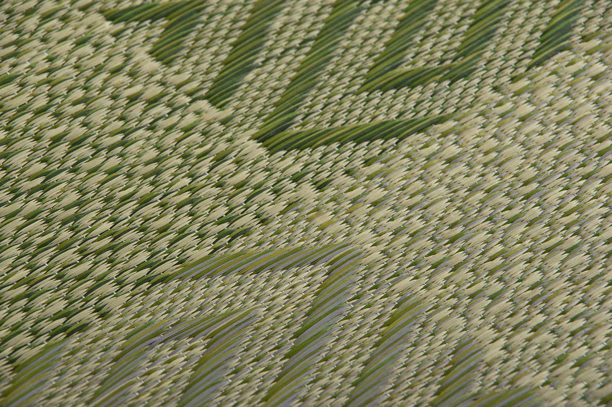 Ikehiko Corporation Rush Zabuton 2-Piece Set Made In Japan Woven Chidori 5 Styles Green 55X55Cm #3127960 - YOYO JAPAN