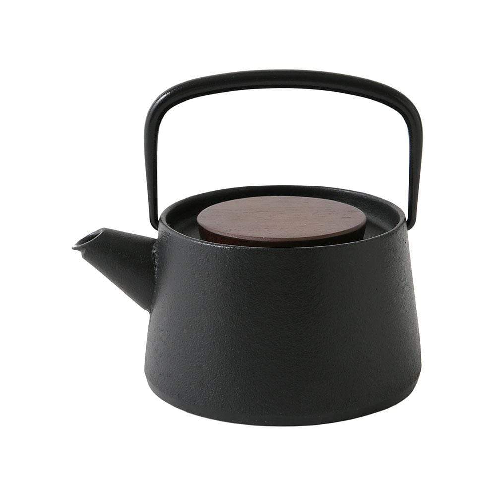 Ikenaga Tetu Nambu Cast Iron Tetsukyusu Teapot