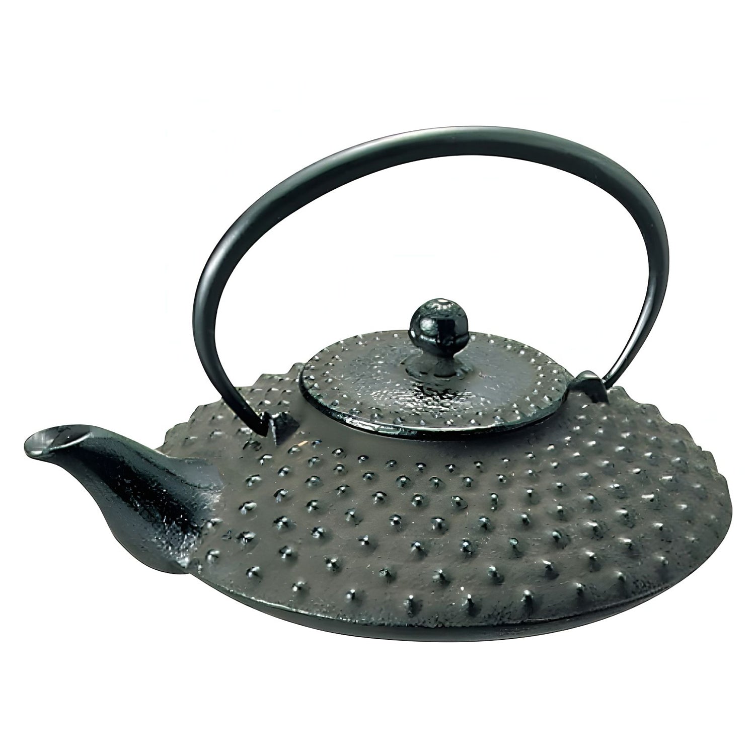 Iwachu Nambu Cast Iron Atsukan Warming Bottle Arare