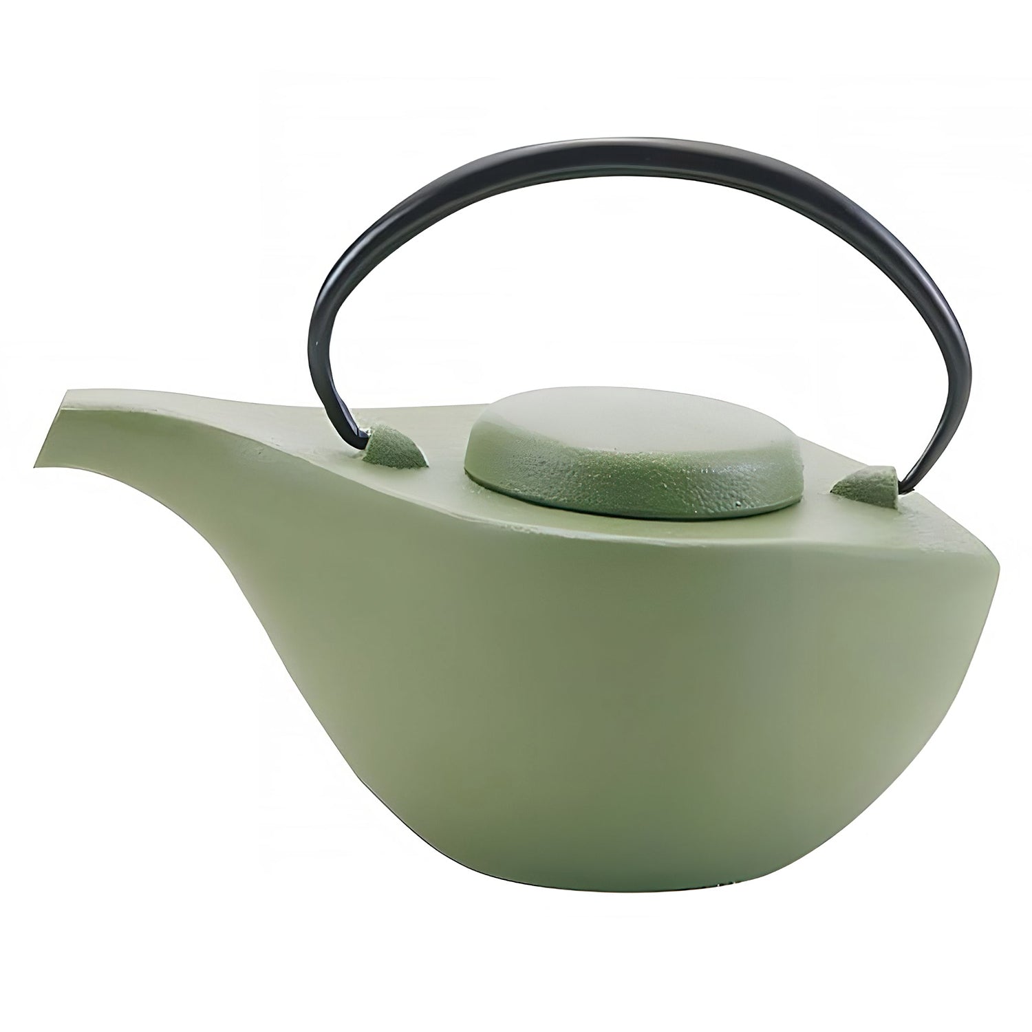 Iwachu Nambu Cast Iron Tetsukyusu Teapot Hikifune Green