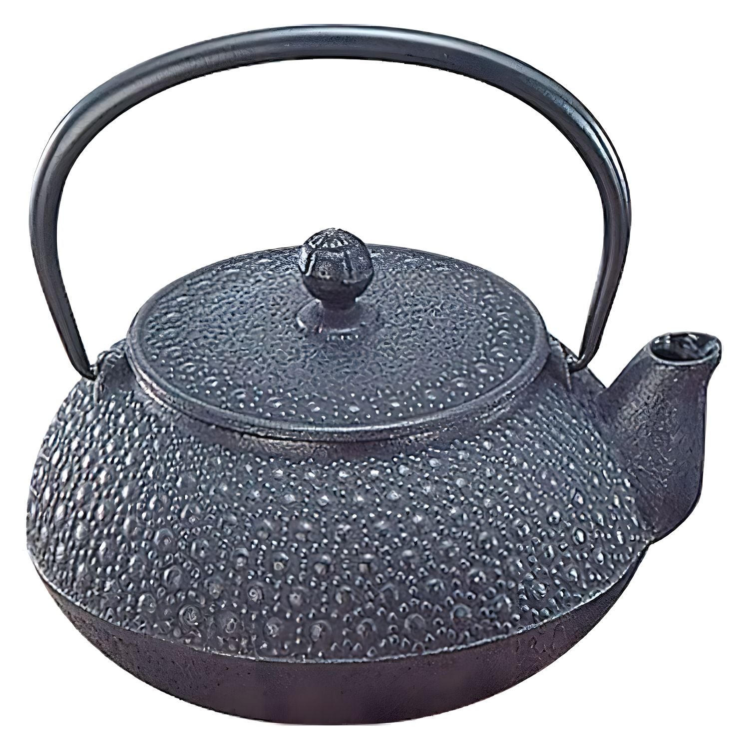 Iwachu Nambu Cast Iron Tetsukyusu Teapot Kikko 300ml