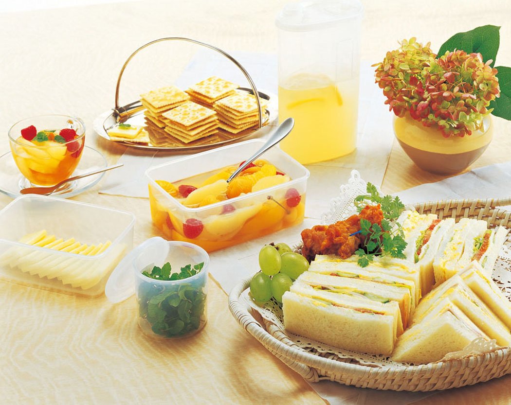 Iwasaki Industry Japan Storage Container Natural Keeper Bat Keeper 1.6L (S) B-380 N - YOYO JAPAN