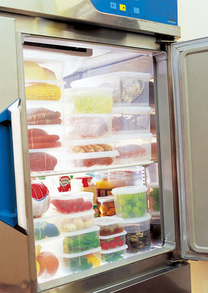 Iwasaki Industry Japan Storage Container Natural Keeper Bat Keeper 1.6L (S) B-380 N - YOYO JAPAN