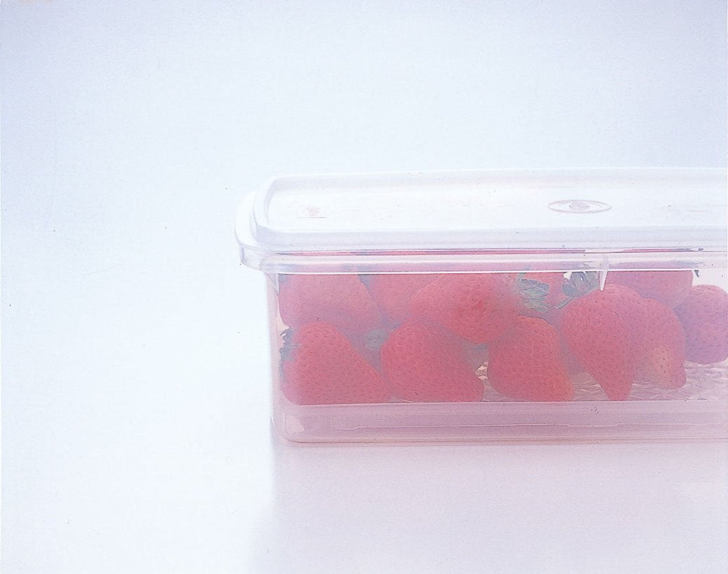 Iwasaki Industry Japan Storage Container Natural Keeper Bat Keeper 1.6L (S) B-380 N - YOYO JAPAN