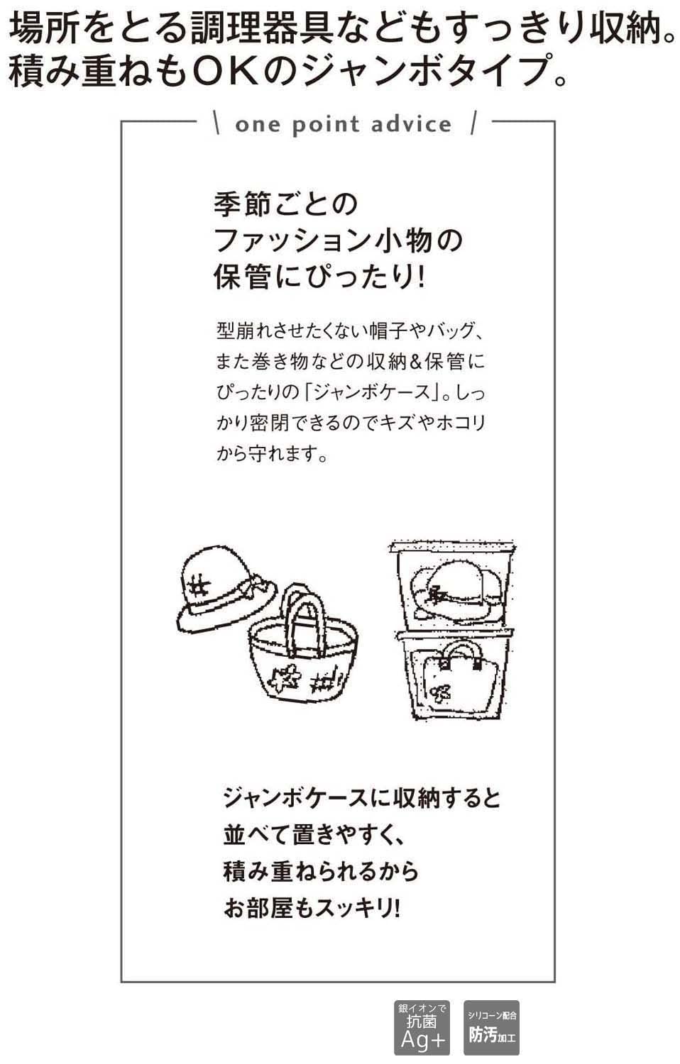 Iwasaki Industry Storage Container Antibacterial Stain Resistant Jumbo Case M 5.0L B-883 Kb Made In Japan | Japan - YOYO JAPAN