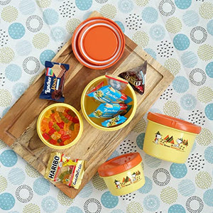 Iwasaki Industry 500Ml Snoopy Canister Storage Container - Made In Japan - YOYO JAPAN