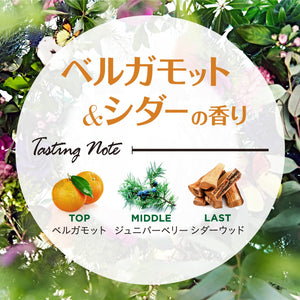 Laundry Botanical Paper Fragrance Bergamot & Cedar 1 Sheet Freshener - YOYO JAPAN