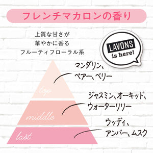 Lavons Car Air Freshener Clip French Macaron Fruity Floral 2 Pack - YOYO JAPAN