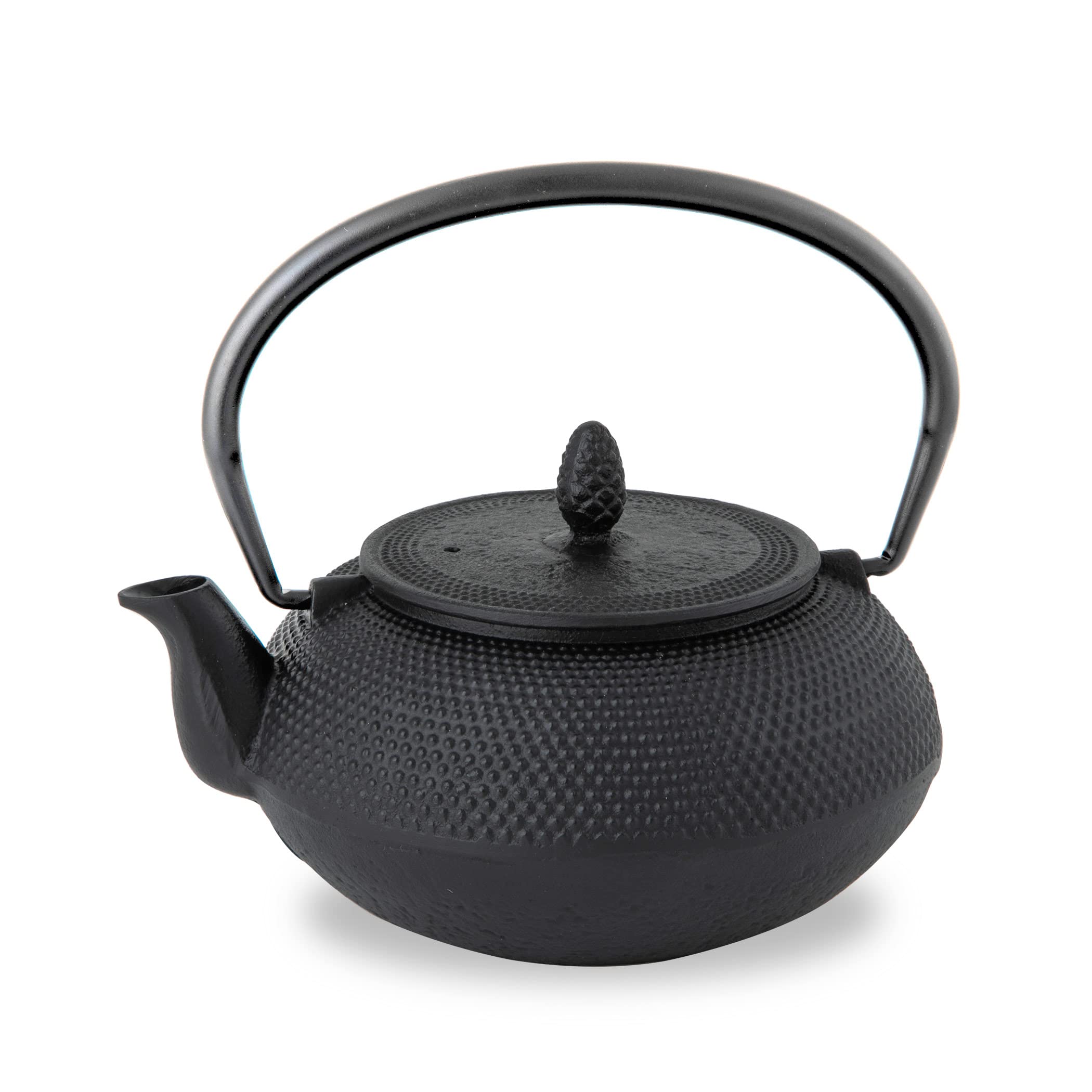 Ren Of Nambu Ironware Teapot (Arare Round 0.6L Black) Japan Enameled Tea Pot W/ Strainer Traditional Crafts Souvenir