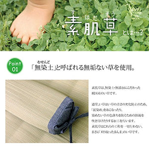 Ikehiko Corporation Bare Skin Grass Square Pillow 30X15Cm Japanese Rush Grass #3632319 - YOYO JAPAN
