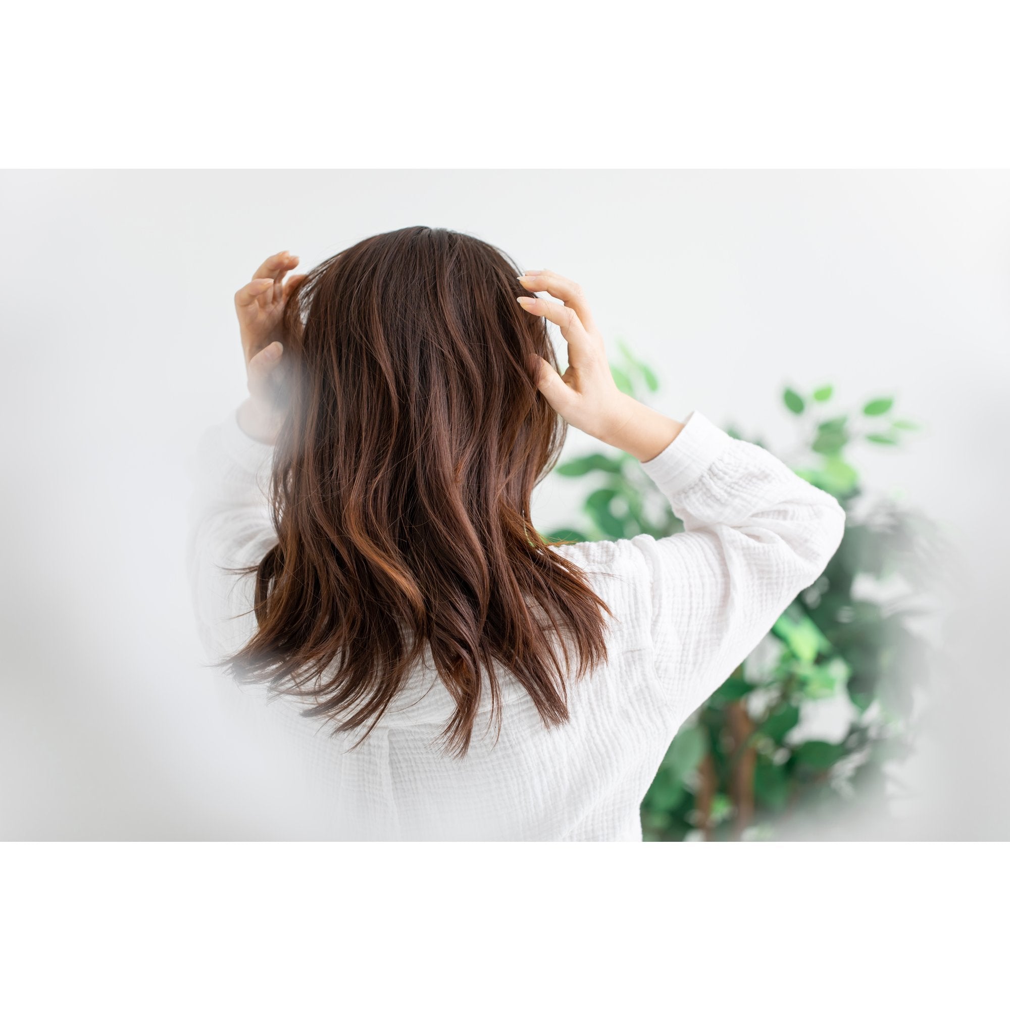 Moist Diane Shampoo Extra Shine Glossy Hair Organic Argan Oil & Keratin 450ml